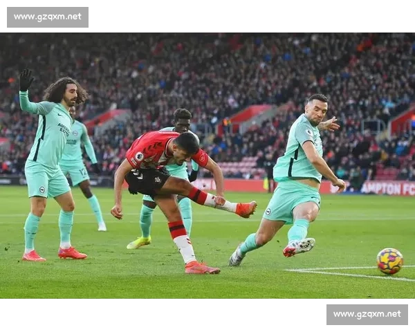 布莱顿 1100 万欧签 21 岁意大利中卫库博拉，五年长约锁定未来