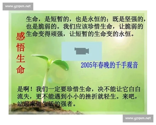 胜负之外:坚守与热爱的永恒力量